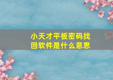 小天才平板密码找回软件是什么意思