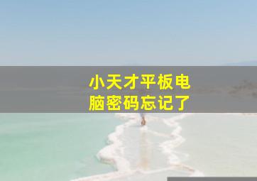 小天才平板电脑密码忘记了