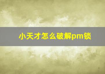 小天才怎么破解pm锁