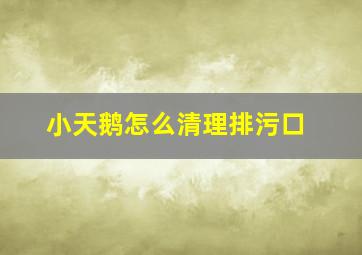 小天鹅怎么清理排污口