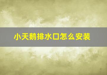 小天鹅排水口怎么安装