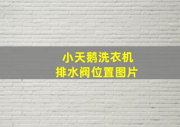 小天鹅洗衣机排水阀位置图片