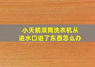 小天鹅滚筒洗衣机从进水口进了东西怎么办