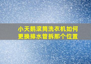 小天鹅滚筒洗衣机如何更换排水管拆那个位置