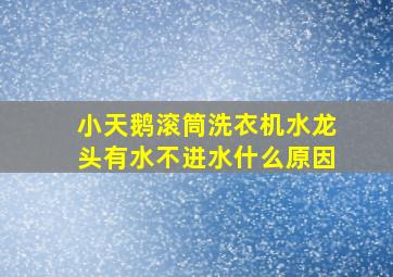 小天鹅滚筒洗衣机水龙头有水不进水什么原因