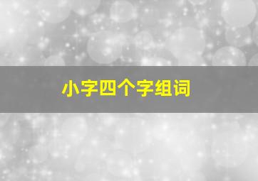 小字四个字组词