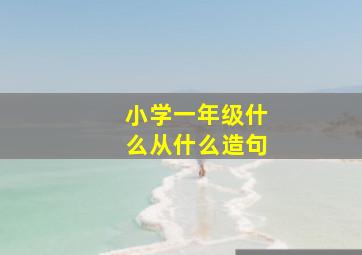 小学一年级什么从什么造句