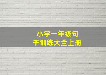 小学一年级句子训练大全上册