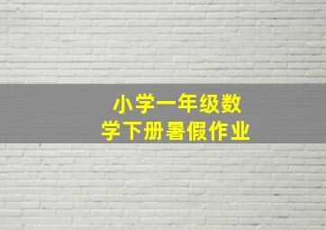 小学一年级数学下册暑假作业