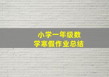 小学一年级数学寒假作业总结