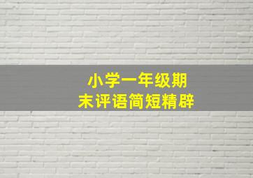 小学一年级期末评语简短精辟