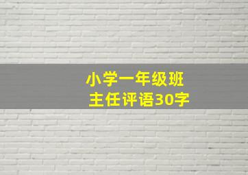 小学一年级班主任评语30字