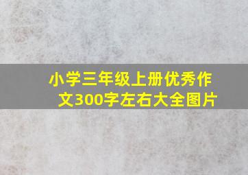 小学三年级上册优秀作文300字左右大全图片