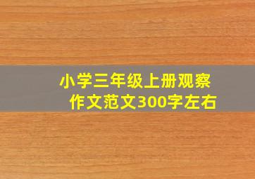 小学三年级上册观察作文范文300字左右