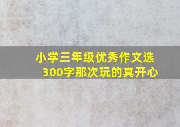 小学三年级优秀作文选300字那次玩的真开心