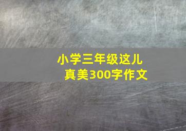 小学三年级这儿真美300字作文