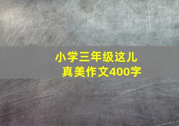 小学三年级这儿真美作文400字