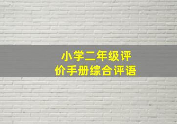 小学二年级评价手册综合评语