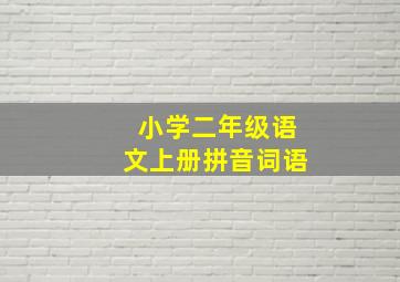 小学二年级语文上册拼音词语