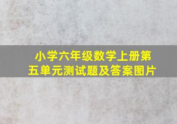 小学六年级数学上册第五单元测试题及答案图片