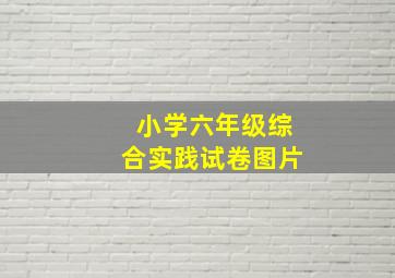 小学六年级综合实践试卷图片