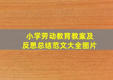 小学劳动教育教案及反思总结范文大全图片