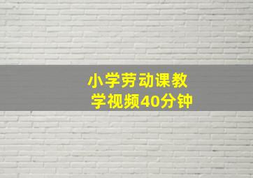 小学劳动课教学视频40分钟