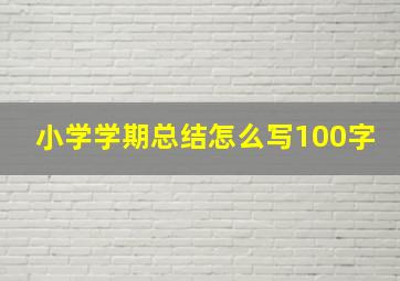 小学学期总结怎么写100字