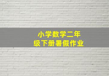 小学数学二年级下册暑假作业