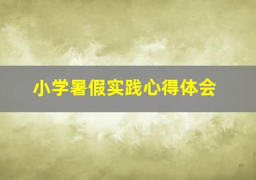 小学暑假实践心得体会