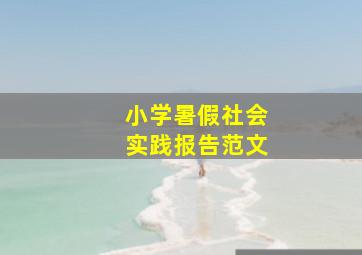 小学暑假社会实践报告范文