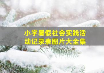 小学暑假社会实践活动记录表图片大全集