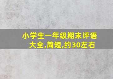 小学生一年级期末评语大全,简短,约30左右