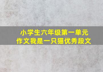 小学生六年级第一单元作文我是一只猫优秀段文