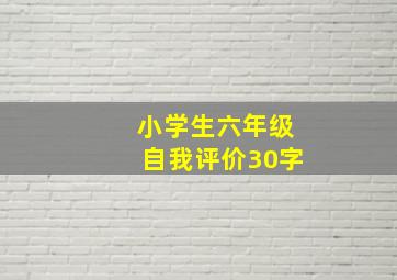 小学生六年级自我评价30字