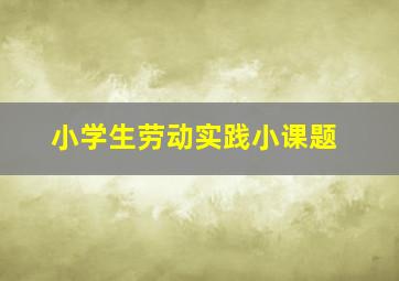 小学生劳动实践小课题