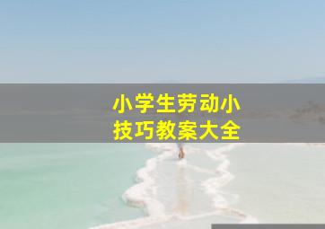 小学生劳动小技巧教案大全