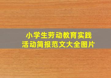 小学生劳动教育实践活动简报范文大全图片