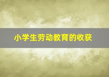 小学生劳动教育的收获