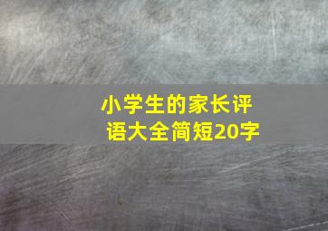 小学生的家长评语大全简短20字