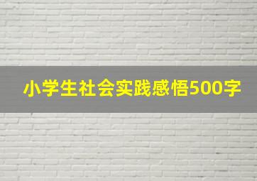 小学生社会实践感悟500字