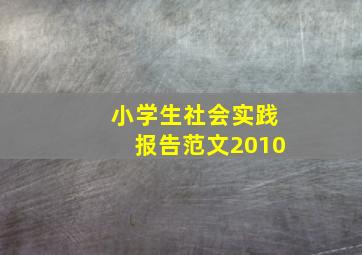 小学生社会实践报告范文2010