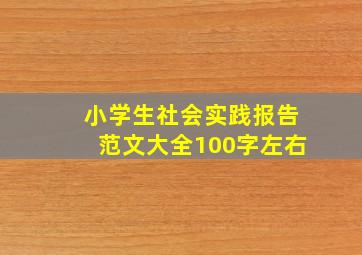 小学生社会实践报告范文大全100字左右