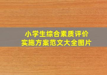 小学生综合素质评价实施方案范文大全图片