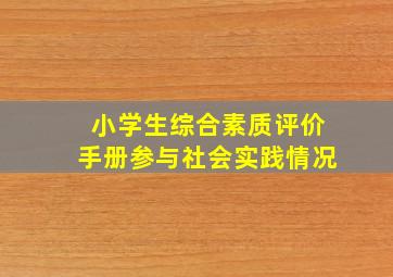 小学生综合素质评价手册参与社会实践情况