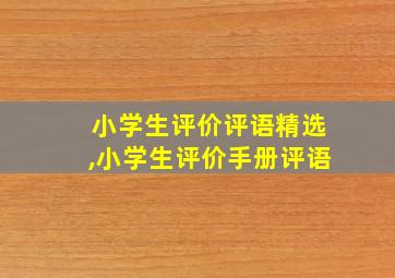 小学生评价评语精选,小学生评价手册评语