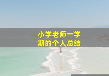 小学老师一学期的个人总结