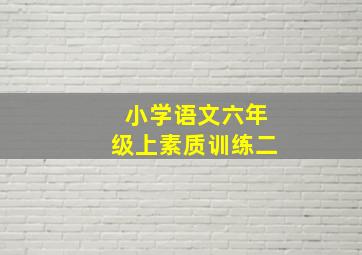 小学语文六年级上素质训练二