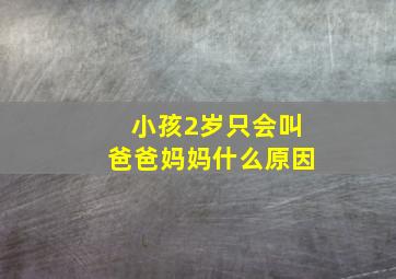 小孩2岁只会叫爸爸妈妈什么原因