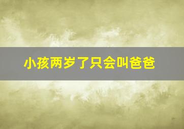 小孩两岁了只会叫爸爸